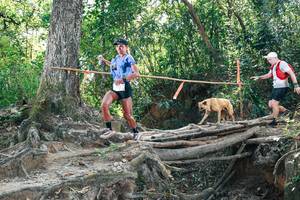 BIB: 
                            <button type="button" onclick="openModal(27742853)" class="btn btn-primary btn-sm float-right btn-popup" data-toggle="modal" data-target=".modal-high-quality">
                        <i class="fas fa-shopping-cart"></i> Add to Cart
                    </button>
                                            <button type="button" onclick="isThisMe(27742853, true)" class="btn btn-success btn-sm float-right btn-popup btn-isme hidden" data-toggle="tooltip" data-placement="bottom" title="นี่คือรูปของคุณใช่ไหม คลิกที่นี่เพื่อเอาเข้าอัลบั้ม">
                        <i class="fas fa-plus"></i> Add to album
                    </button>
                    <button type="button" onclick="isThisMe(27742853, false)" class="btn btn-warning btn-sm float-right btn-popup btn-isnotme hidden">
                        <i class="fas fa-ban"></i> Remove from album
                    </button>